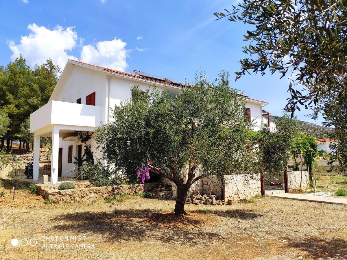 Apartments Zmaj زافالا المظهر الخارجي الصورة