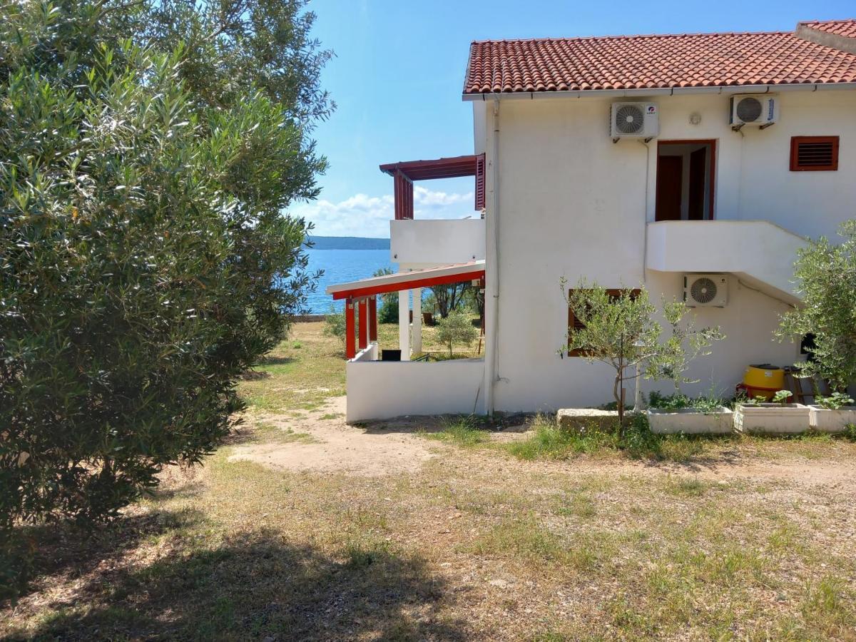 Apartments Zmaj زافالا المظهر الخارجي الصورة